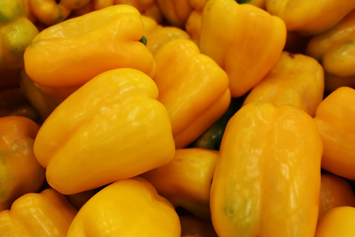 Sopas y guisos de otoño